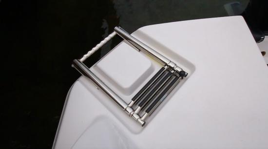 Glastron GTD 180 ladder