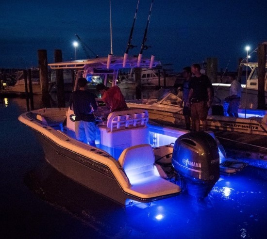 Grady-White Fisherman 216 led lights