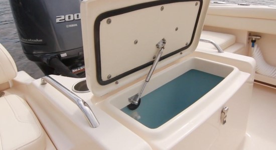 Grady-White Freedom 215 Raw Water Livewell