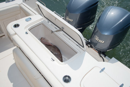 Grady-White Freedom 307 twin engines