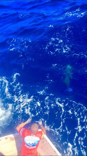 GT63 Post One's Second Atlantic Crossing