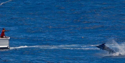 GT63 Post One's Second Atlantic Crossing