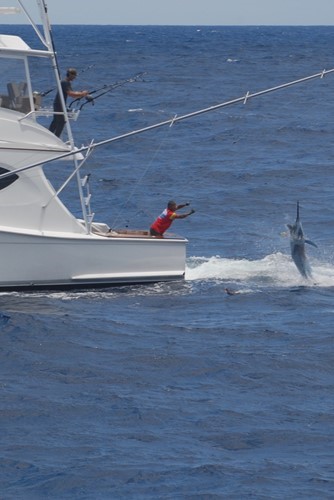 GT63 Post One's Second Atlantic Crossing