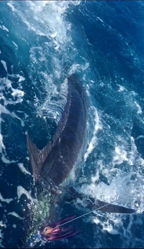 GT63 Post One's Second Atlantic Crossing