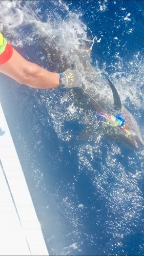 GT63 Post One's Second Atlantic Crossing