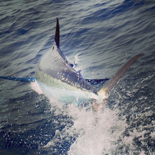 GT63 Post One's Second Atlantic Crossing