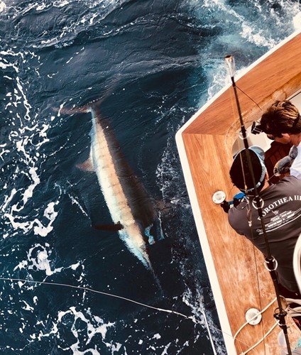 GT63 Post One's Second Atlantic Crossing