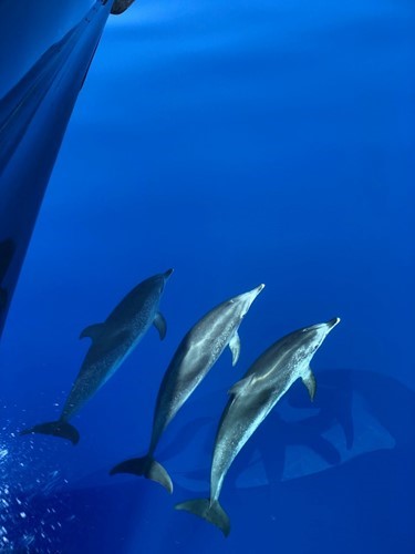 GT63 Post One Crosses the Atlantic