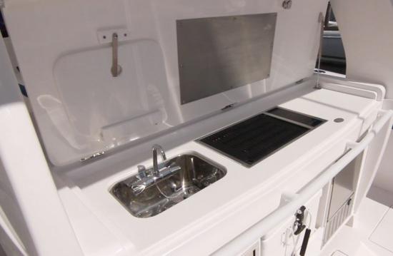 Intrepid 407 Panacea