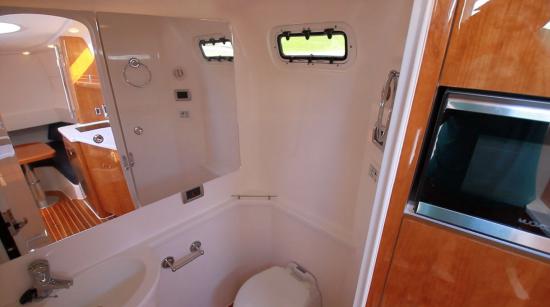 Intrepid 475 Panacea head