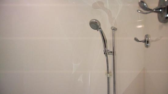 Intrepid 475 Panacea shower