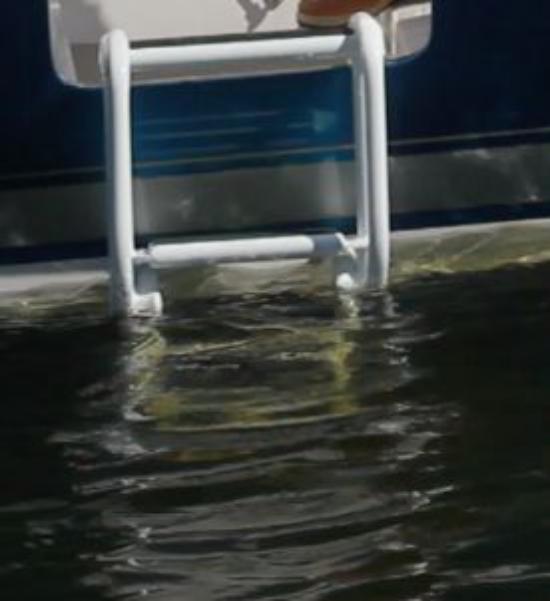 Intrepid 407 Panacea