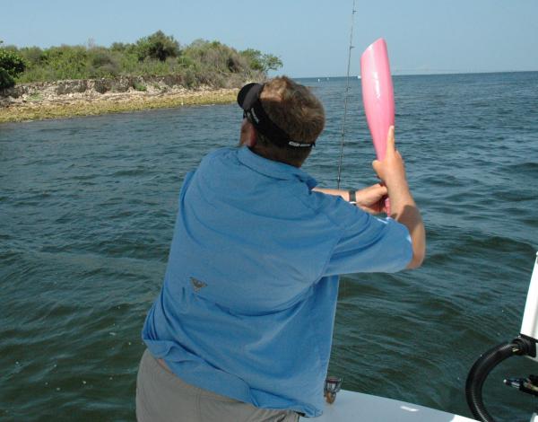 livewells for Bay Boats