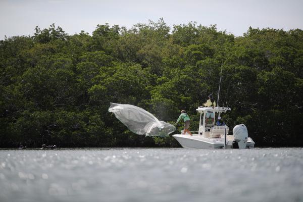 livewells for Bay Boats