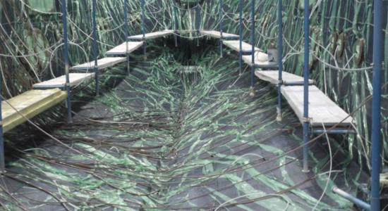 Monte Carlo Yachts 96