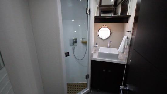 Neptunus 650 Express day head