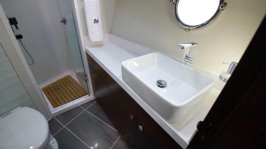 Neptunus 650 Express vip head