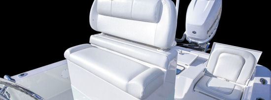 Ranger Boats 2310 Bay Ranger removable back rest
