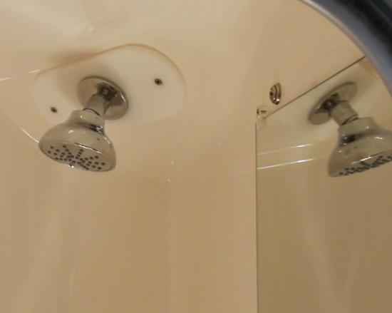 Regal 26 XO shower head