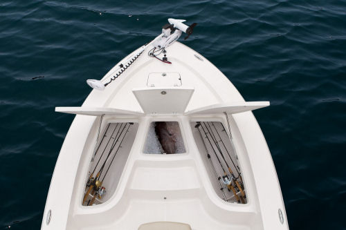 Robalo 206 Cayman