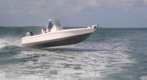 Robalo 206 Cayman