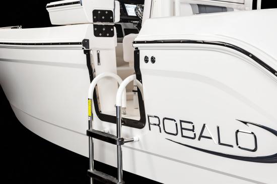 Robalo R272 ladder