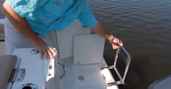 Sailfish 245DC ladder