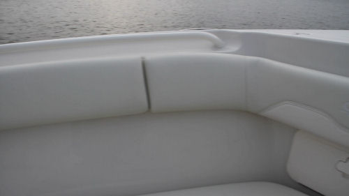 Sailfish 290CC hand rails