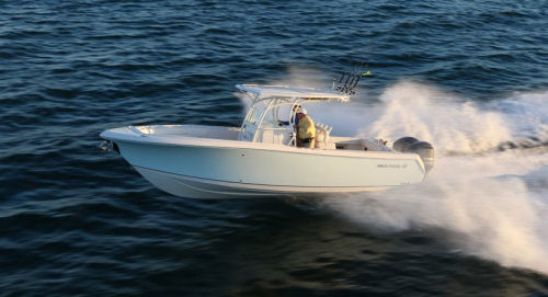 Sailfish 290CC running shot