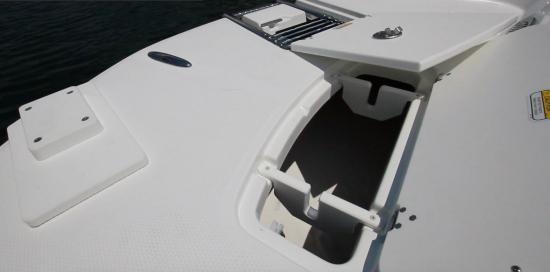 Tahoe 2150 CC bow boarding ladder