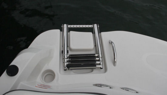 Tahoe 500 TS swim ladder