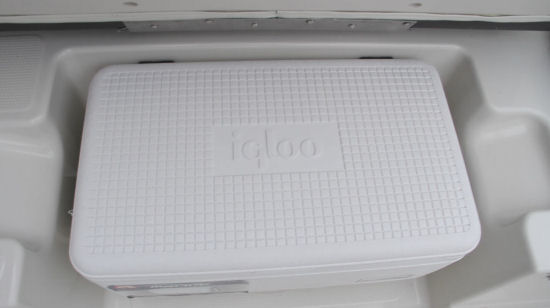 Tahoe 550 TS Outboard cooler storage