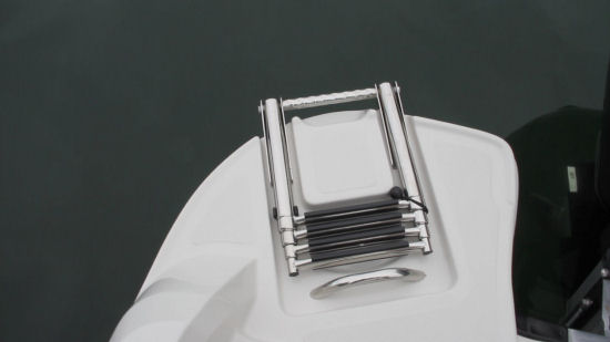 Tahoe 550 TS Outboard ladder
