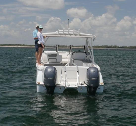 World Cat 280DC-X adults