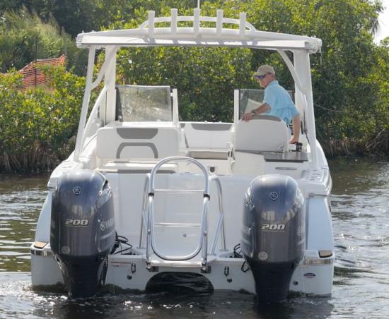 World Cat 280DC-X ladder