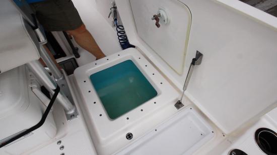 Yamaha 190 FSH Sport live well